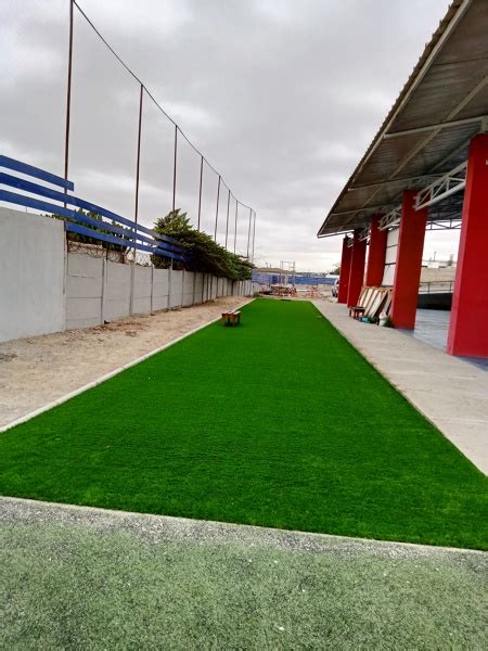 Foto Pasto Sint Tico De Jardiner A Paisajismo Y Obras Menores Luz