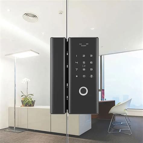 Biometric Fingerprint Smart Glass Door Lock Code Keypad Optional Wifi Tuya Smart Lock Smart Life