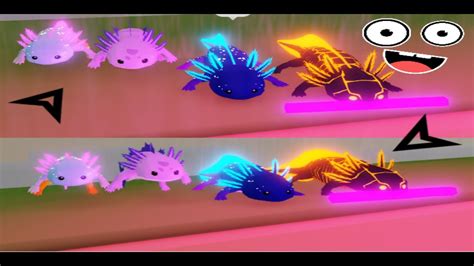 Animal Simulator Update How To Have All Axolotls Skin Youtube