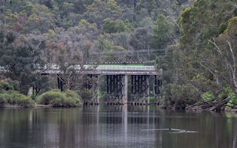 Blackwood River Walk Bridgetown