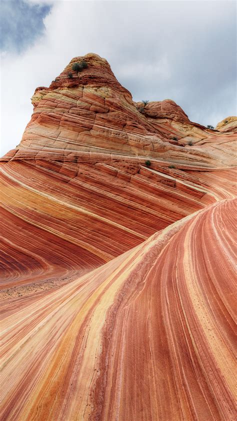 The Wave Rock Formation At North Coyote Buttes In Utah Usa Windows Spotlight Images