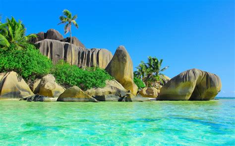 Tropical Island Wallpaper with Fish (49+ images)