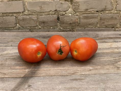 are plum tomatoes the same as roma