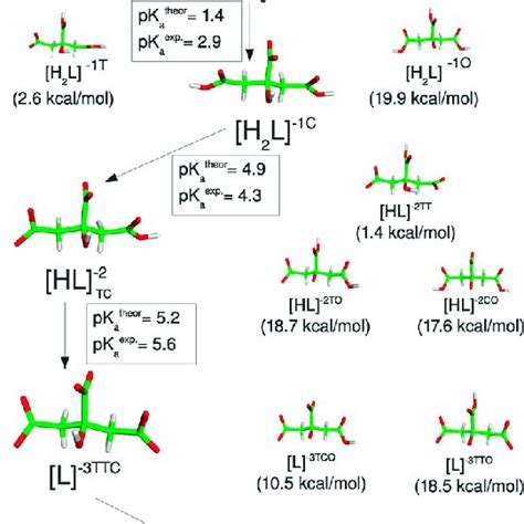 All Isomers Considered In The Present Work For The Free Citric Acid In