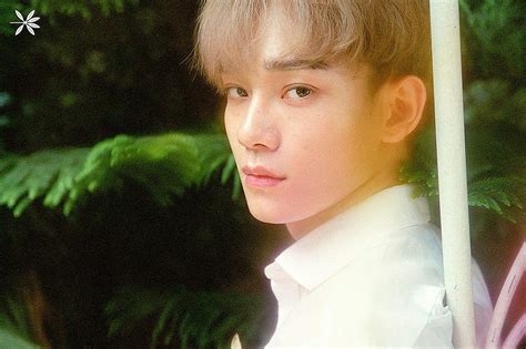 Full Hq Exo Ko Ko Bop Members Teaser For Exo Chen Hd Wallpaper Pxfuel