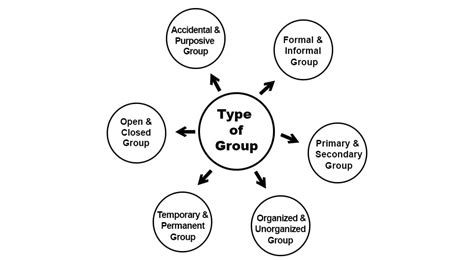 Types Of Group Definition Classification Parsadi