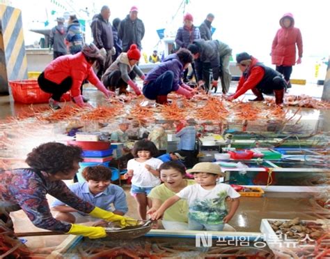 울진군제1회 죽변항 수산물 축제