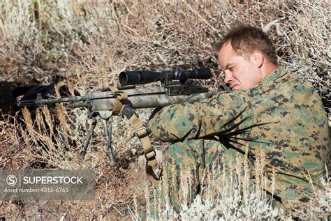 Us Marine Corps Scout Sniper Aiming An M Designated Marksman Rifle