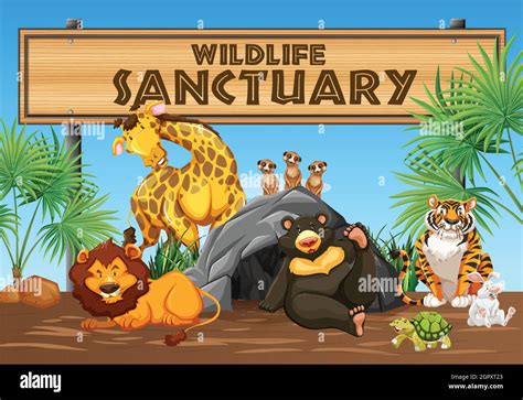 Wildlife Sanctuary Banner And Animals Stock Vector Image And Art Alamy