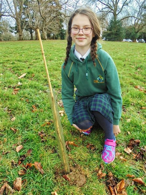 Woodland Trust Tree Planting a Tree-Mendous Success - Forres Sandle Manor