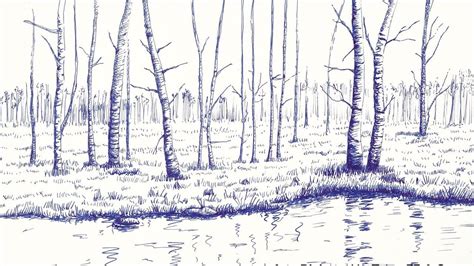 Imagenes De Bosques Para Dibujar A Lapiz Faciles Como Dibujar Un The