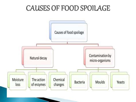 Food Spoilage