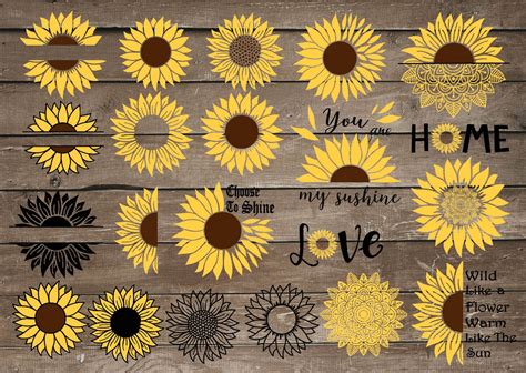 Sunflower Svg Bundle Sunflower Quote Svg Sunflower Bundle Etsy