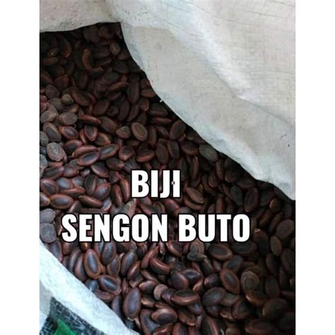 Jual Biji Sengon Buto Shopee Indonesia