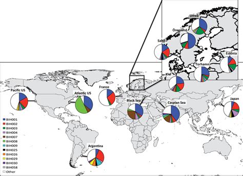 Distribution of haplotypes in the different populations of B ... 