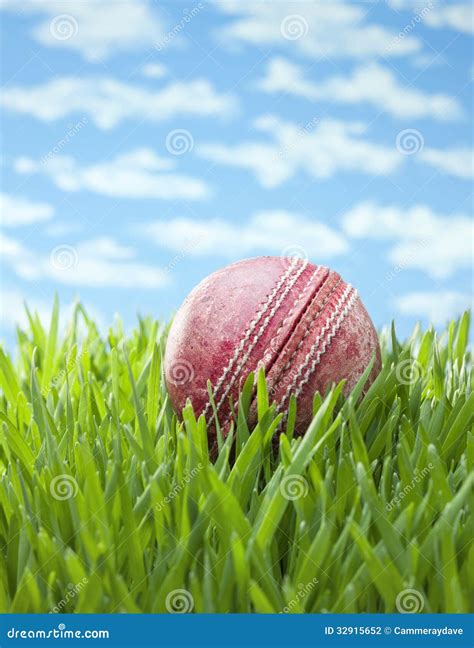 Sports Cricket Ball Grass Background Stock Photo - Image of healthy