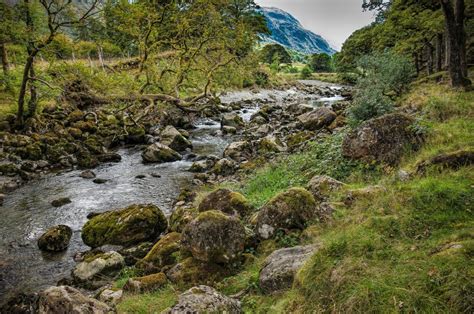 Free Images Landscape Tree Nature Forest Rock Waterfall Wilderness Walking Trail