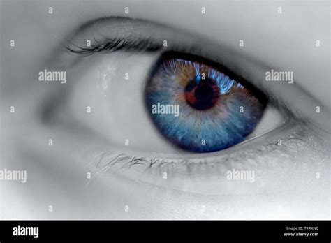 Pupila Del Iris Fotografías E Imágenes De Alta Resolución Alamy