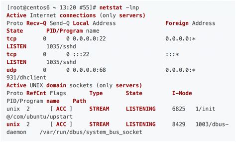 【linux面试真题】 如何查看系统都开启了哪些端⼝？ 马哥教育官网