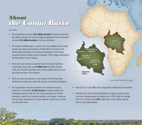 Discover the Magnificent Congo Basin