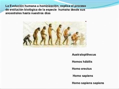 Historia Evolución Del Hombre Y De La Sociedad