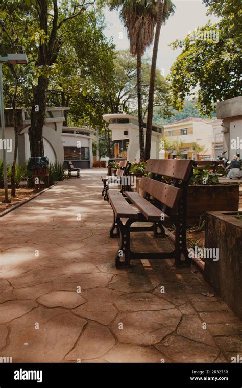 wooden park bench Stock Photo - Alamy