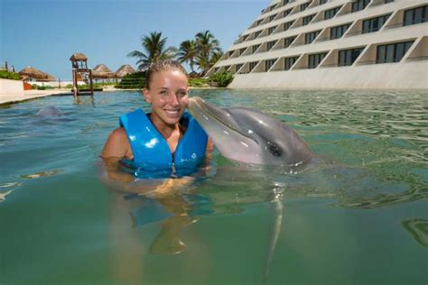 Swim With Dolphins Ride Punta Cancun Getyourguide