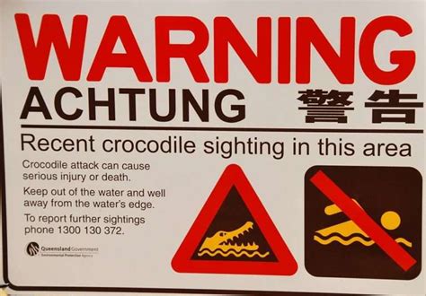 Saltwater Crocodiles Warning Sign The Travel Tart Blog