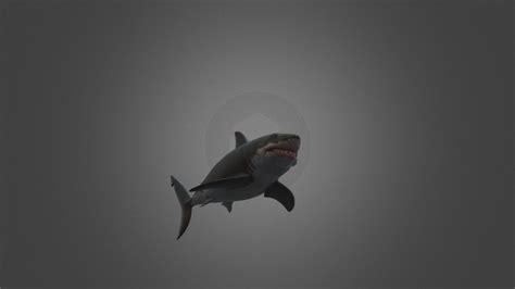 Bruce The Shark | JAWS (1975) | (Version 2) - Download Free 3D model by ...