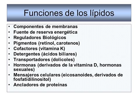 Funciones de los lípidos Ejemplos De