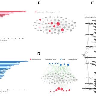 Analysis of the upstream transcription factors and protein kinases and ... 