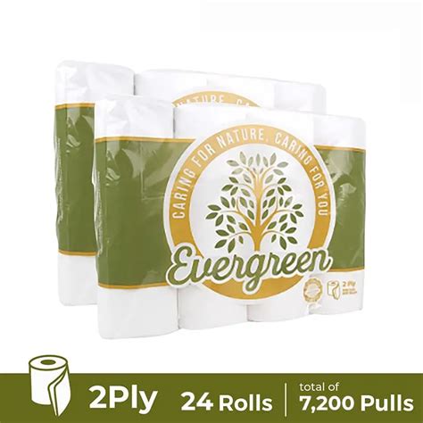 Evergreen Bathroom Tissue 2 Ply 12 Rolls X 2 Packs 24 Rolls Lazada Ph