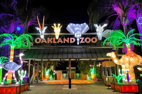 Glowfari, Oakland Zoo| Marin Mommies