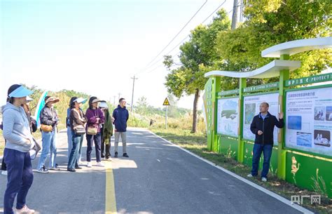 【习声回响】深怀敬畏之心 为后代留大美湿地央广网