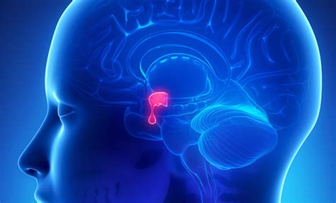 Carcinoid Syndrome Symptoms Diagnosis Treatment