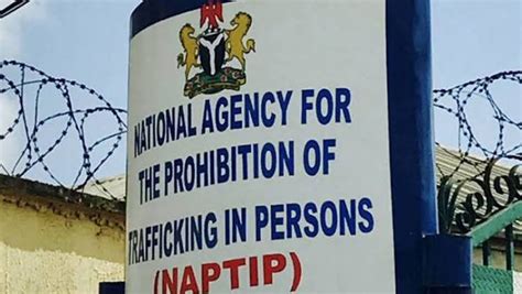 Lebanese ‘human Trafficker Arrested By Naptip