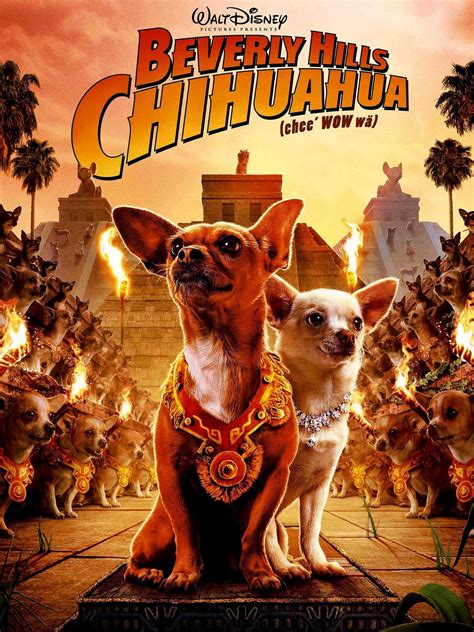 Beverly Hills Chihuahua (2008) - Rotten Tomatoes