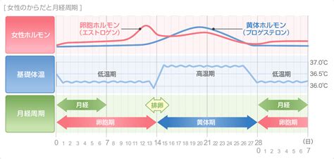 月経痛（生理痛）の症状・原因｜くすりと健康の情報局