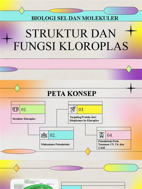 Strategi Fotosintesis Tumbuhan C3 C4 Dan Cam Pdf