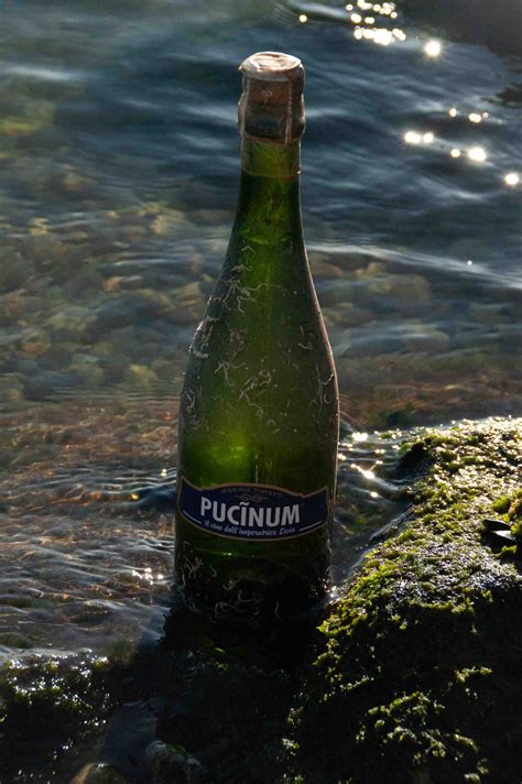Pucinum: il vino dell'imperatrice Livia fermentato nel fiume Timavo