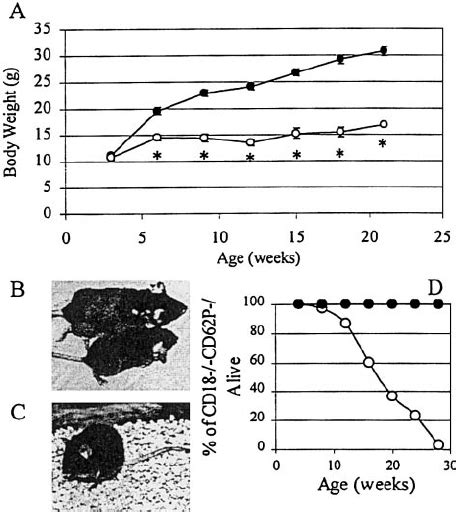 Growth Curve Of Mice De Fi Cient In Cd18 Integrins And P Selectin A