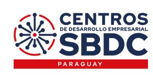 Asistencia Técnica Portal de Servicios MIPYMES Paraguay