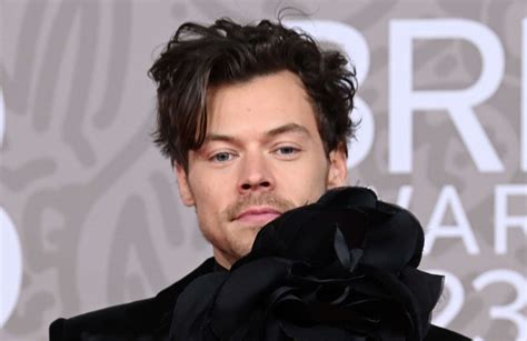 Harry Styles le peintre anglais David Hockney a réalisé un portrait