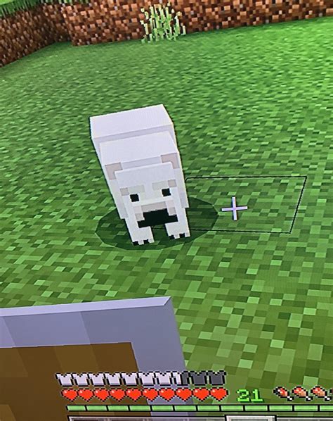 I found an orphan, what do I do? : r/Minecraft