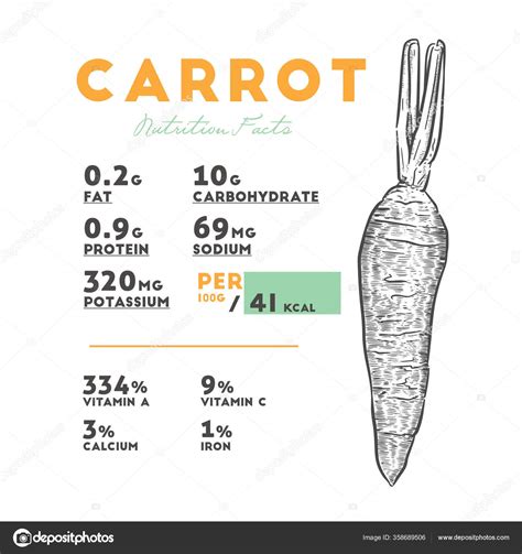 Nutritional Value Carrot Vector Infographic Elements Stock Vector by
