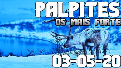 PALPITE JOGO DO BICHO 03 05 20 Todos Estados YouTube