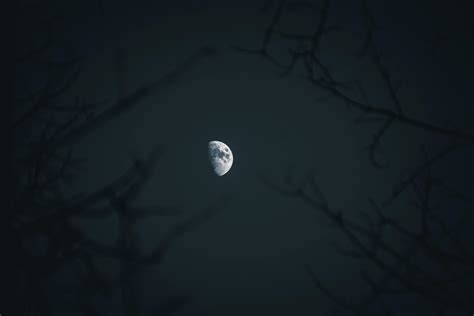 A Half-Moon in the Night Sky · Free Stock Photo