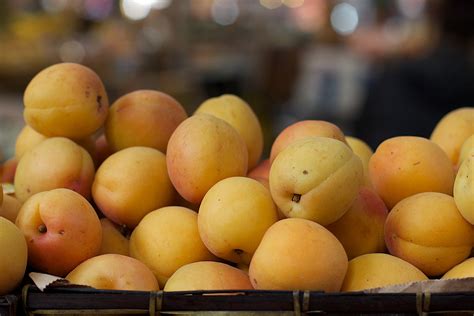 Безплатна снимка : растение, плодове, храна, продукция, кайсия, плодно ...