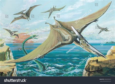 Pteranodon One Largest Ever Flying Reptiles Stock Illustration