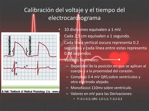 Electrocardiograma Normal Pptrrrrrrrrrrrrrrr PPT Descarga Gratuita